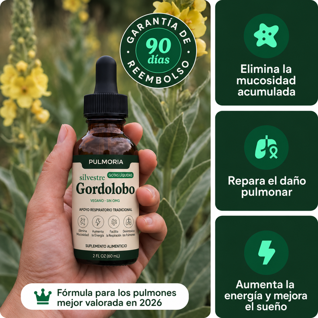 Pulmoria Gotas de Gordolobo